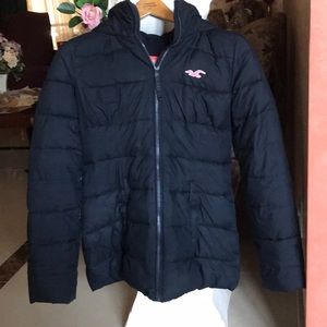 Hollister Winter Jacket